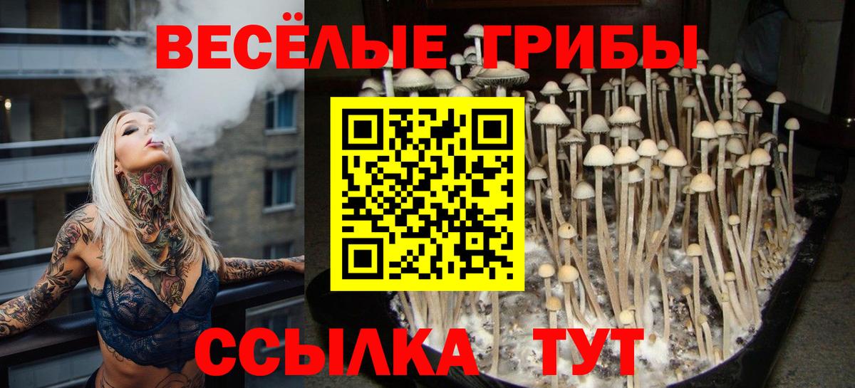 Cocaine  ГАШ  Вход с VPN  Томск  Бошки Шишки  Меф кристаллы  ГАШ  Меф 