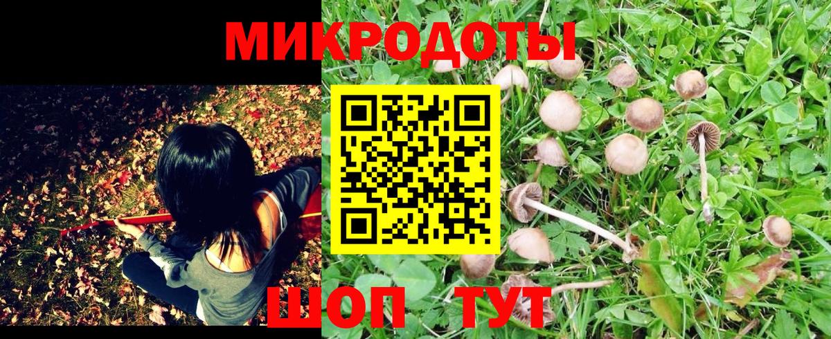 Томск  Галлюциногенные грибы MAGIC MUSHROOMS  Вход с VPN 